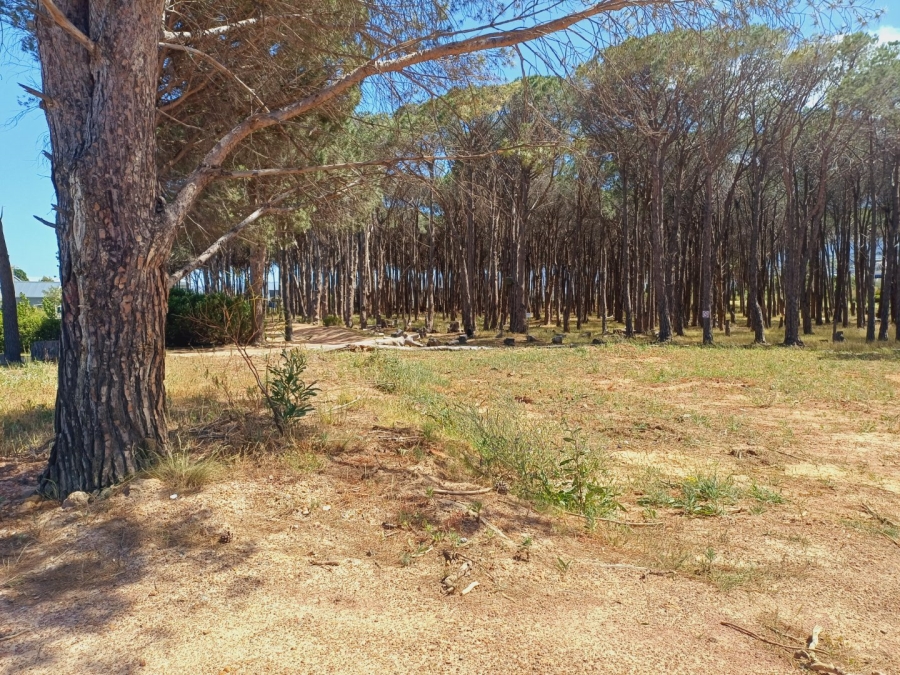 3 Bedroom Property for Sale in Somerset Lakes Western Cape